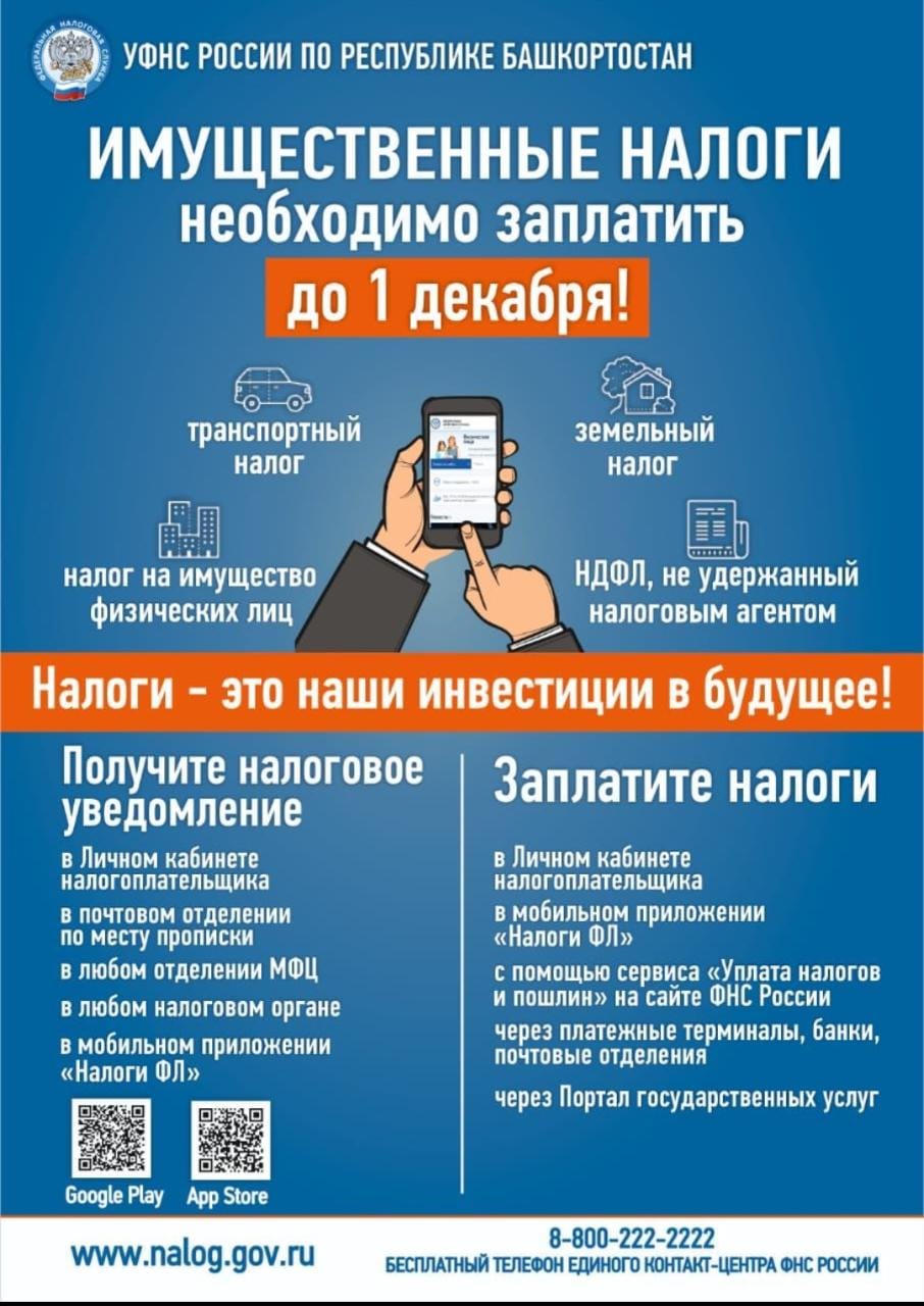 листовка