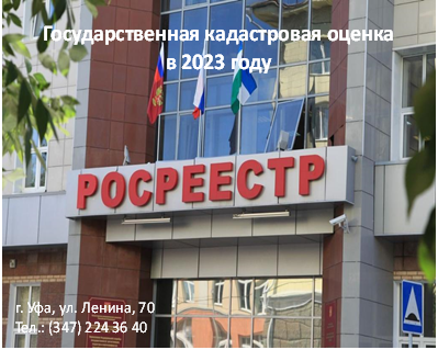 релиз 23